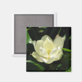 南マグノリア マグネット (正面/裏面)