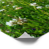 南ユースト島 |スコットランド ポスター (角)