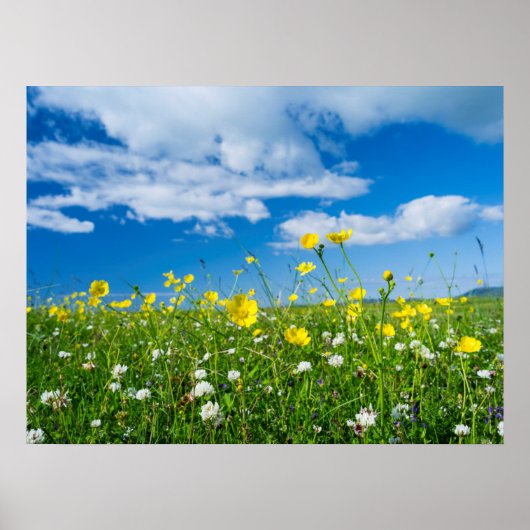 南ユースト島 |スコットランド ポスター (正面)