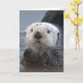 南ラッコ(Enhydraのlutris) カード (黄色い花)