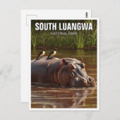 南ルアンワ国立公園ザンビアのヒッポ ポストカード (正面/裏面)