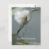 南ルイジアナ ポストカード (正面/裏面)