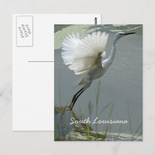 南ルイジアナ ポストカード (正面/裏面)
