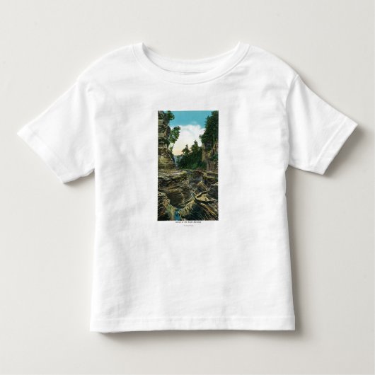 南入口の峡谷の眺め トドラーTシャツ (正面)