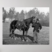 南北戦争の馬， 1864 ポスター (正面)