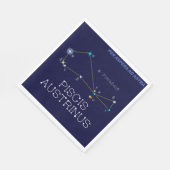 南半球の南半球 スタンダードランチョンナプキン (角)