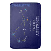 南半球の南半球 バスマット (正面縦)