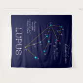 南半球の星座 ループス タペストリー (正面(横))