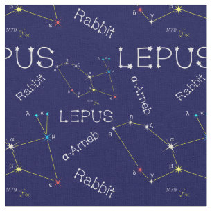 南半球の眼球星座 ファブリック