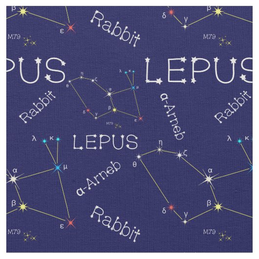 南半球の眼球星座 ファブリック (クローズアップ)