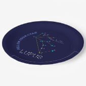 南半球ルパス座 ペーパープレート (アングル)
