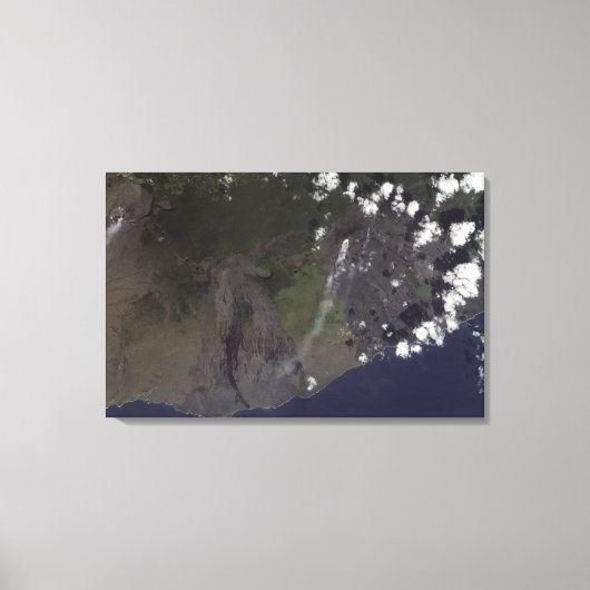 南南西吹に向かって複数の羽毛 キャンバスプリント (正面)