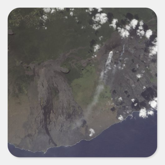 南南西吹に向かって複数の羽毛 スクエアシール (正面)