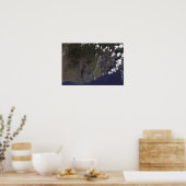 南南西吹に向かって複数の羽毛 ポスター (キッチン)