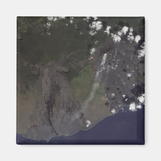 南南西吹に向かって複数の羽毛 マグネット (正面)