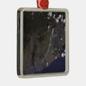 南南西吹に向かって複数の羽毛 メタルオーナメント (右)