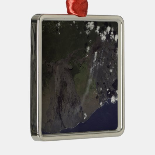 南南西吹に向かって複数の羽毛 メタルオーナメント (右)