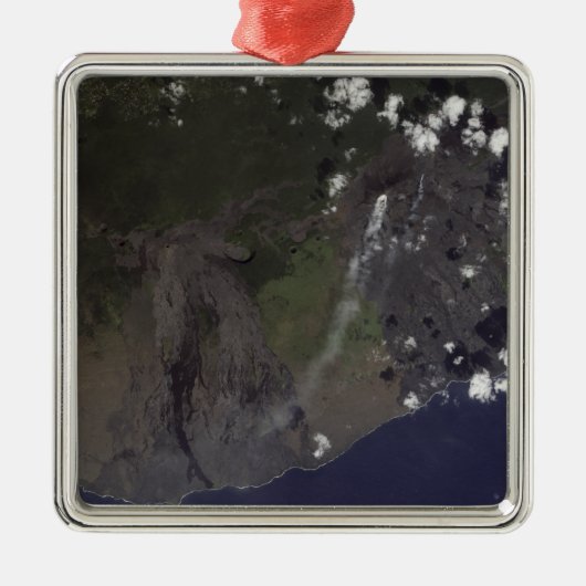 南南西吹に向かって複数の羽毛 メタルオーナメント (正面)