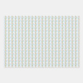 南名門私立校風の女性のカーボーイ卒業 ラッピングペーパーシート (正面2)