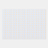 南名門私立校風の女性のカーボーイ卒業 ラッピングペーパーシート (正面)