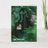 南国庭園の蝶　早く元気になりますように カード (正面)