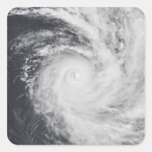 南太平洋のサイクロン海 スクエアシール (正面)