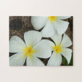 南太平洋の美しい熱帯の花 ジグソーパズル (横)