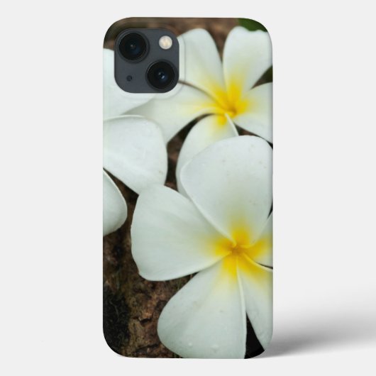 南太平洋の美しい熱帯の花 Case-Mate iPhoneケース (裏面)
