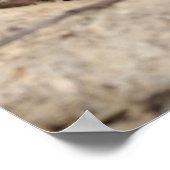 南太平洋ラトルズナケ。 ポスター (角)