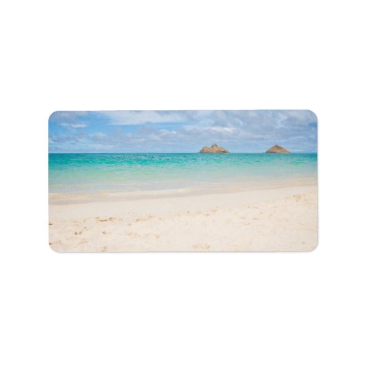 南太平洋ラベル ラベル (正面)