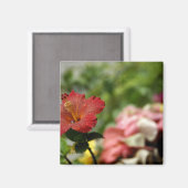 南太平洋、フランスのポリネシア協会2 マグネット (正面/裏面)