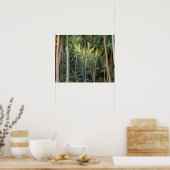 南太平洋、フランスのポリネシア、ボラ・ボラ。 ポスター (キッチン)