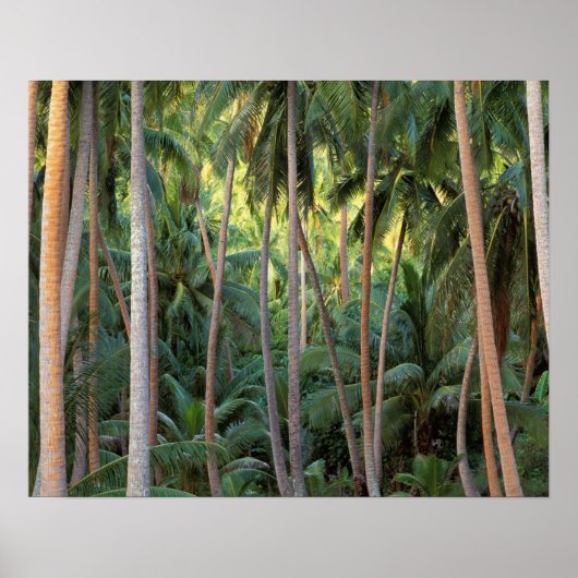 南太平洋、フランスのポリネシア、ボラ・ボラ。 ポスター (正面)