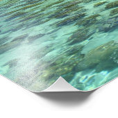 南太平洋、フランスのポリネシア、ムーア3 フォトプリント            (角)