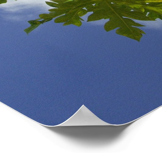 南太平洋、フランスのポリネシア、ムーア。2 ポスター (角)