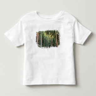 南太平洋 フランス領ポリネシア ボラボラ島 トドラーTシャツ