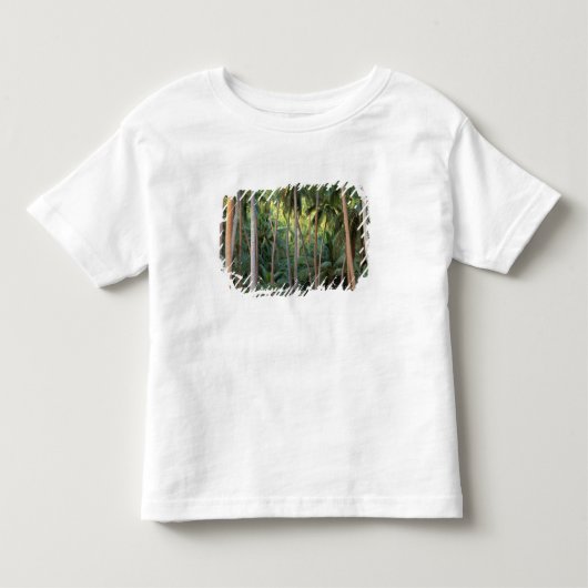南太平洋 フランス領ポリネシア ボラボラ島 トドラーTシャツ (正面)