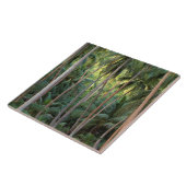 南太平洋、ポリネシフランスのア、ボラボラ。 タイル (側面)