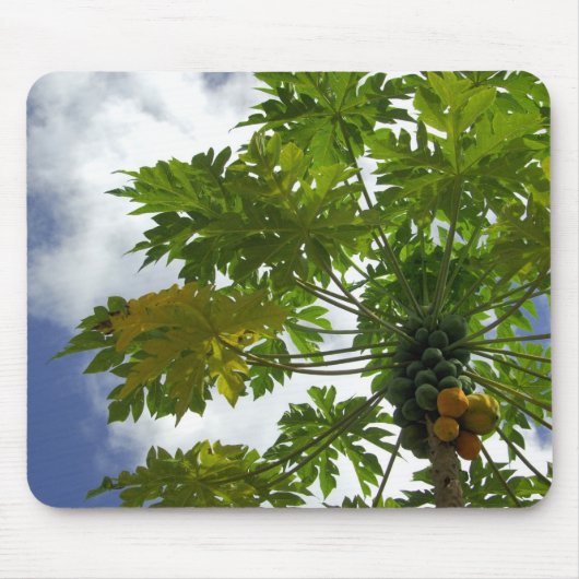 南太平洋、ポリネシフランスのア、ムーア。2 マウスパッド (正面)