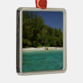 南太平洋,ポリネシフランスのア,ムーリア メタルオーナメント (右)