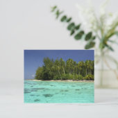 南太平洋、ポリネフランスのシア、ムーア2 ポストカード (スタンド正面)