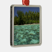 南太平洋、ポリネフランスのシア、ムーア3 メタルオーナメント (右)