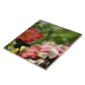 南太平洋，ポリネフランスのシア，社会2 タイル (側面)