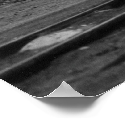 南方鉄道1357号 ポスター (角)