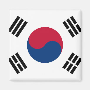 南朝鮮の国民の世界の旗 マグネット