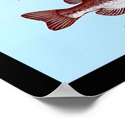 南東の低音種 ポスター (角)