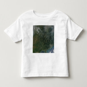 南東中国 トドラーTシャツ