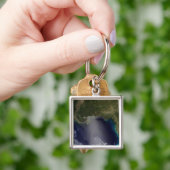 南東州の衛星ビ統一されたュー2 キーホルダー (手)