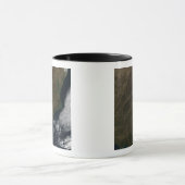 南東州の衛星表統一された示 マグカップ (中央)