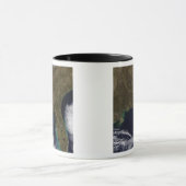 南東統一された州 マグカップ (中央)